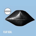 Flat Seal